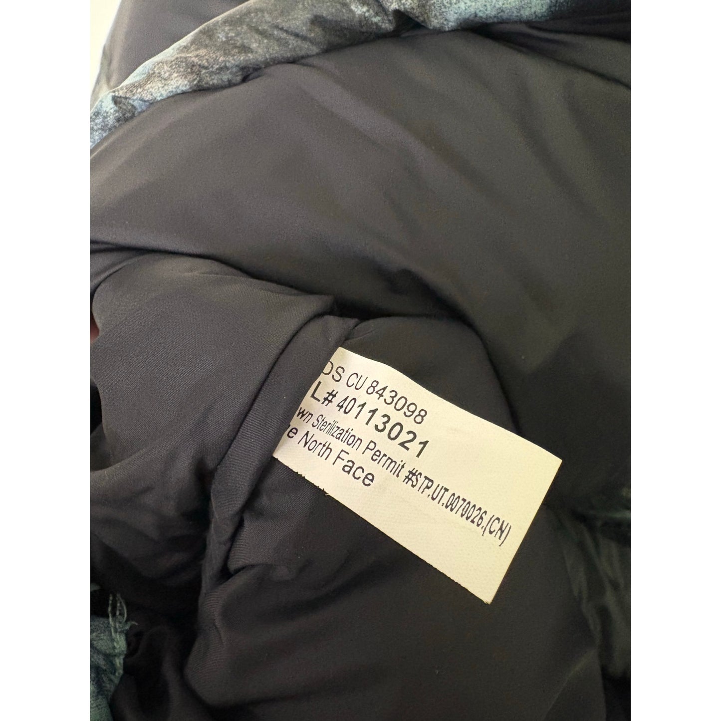 The North Face Nuptse Blue Ice jacket L