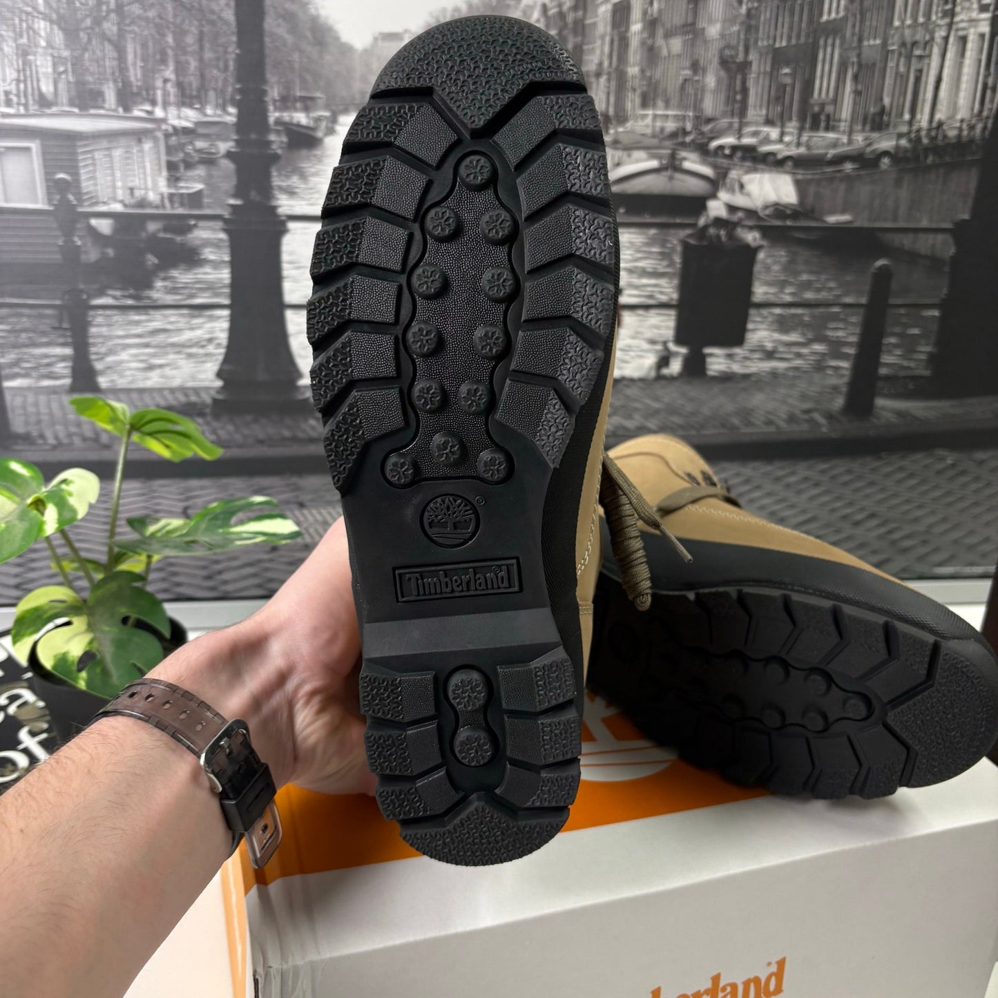 Timberland euro hiker wheat size 9-12