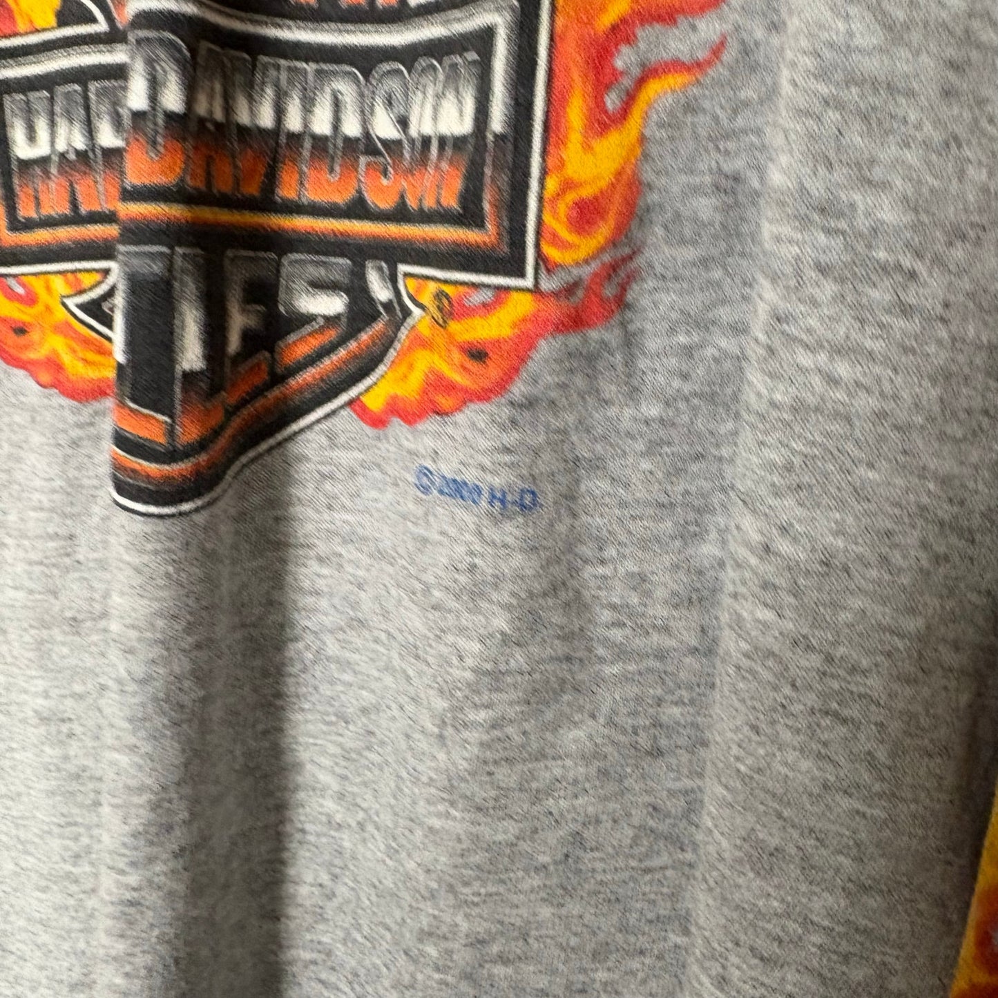 Vintage Harley Davidson 2000 flame logo longsleeve shirt L