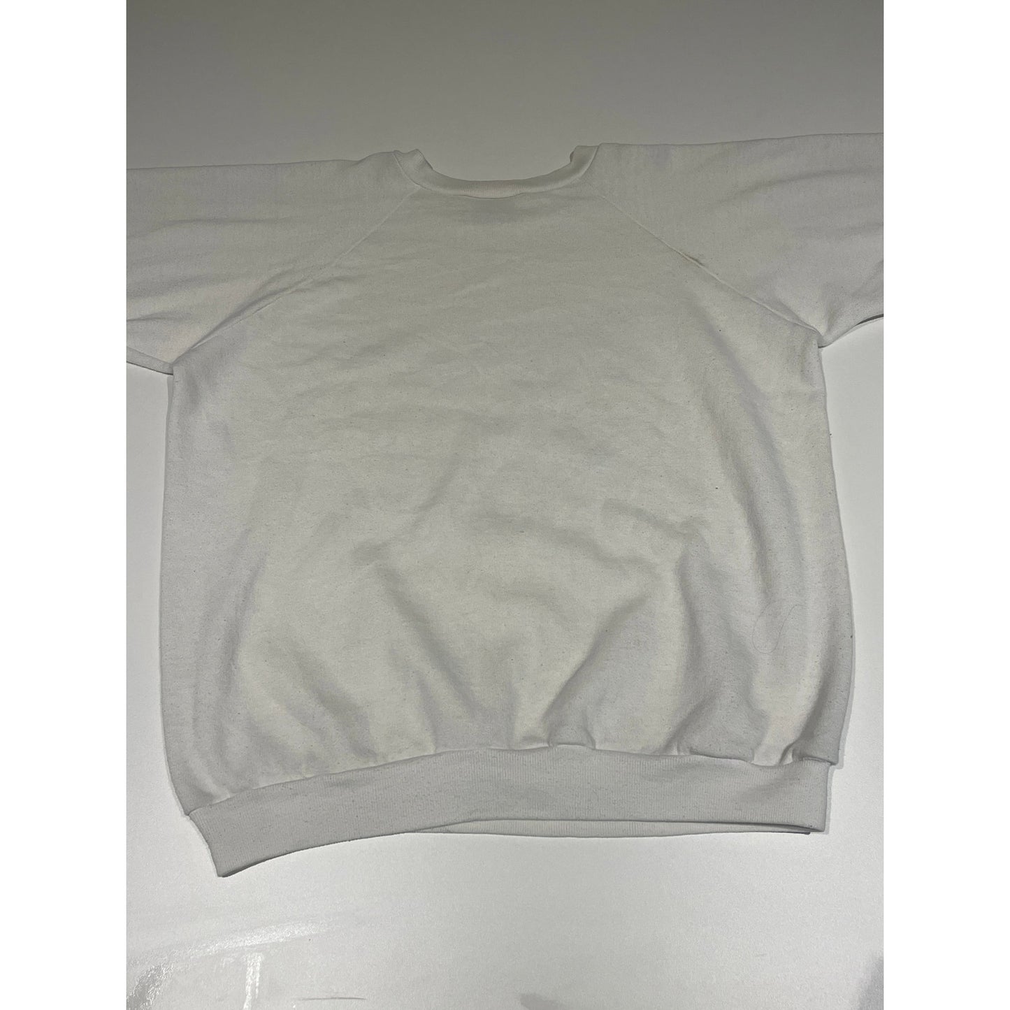 Vintage Daytona Beach 90s Crewneck L