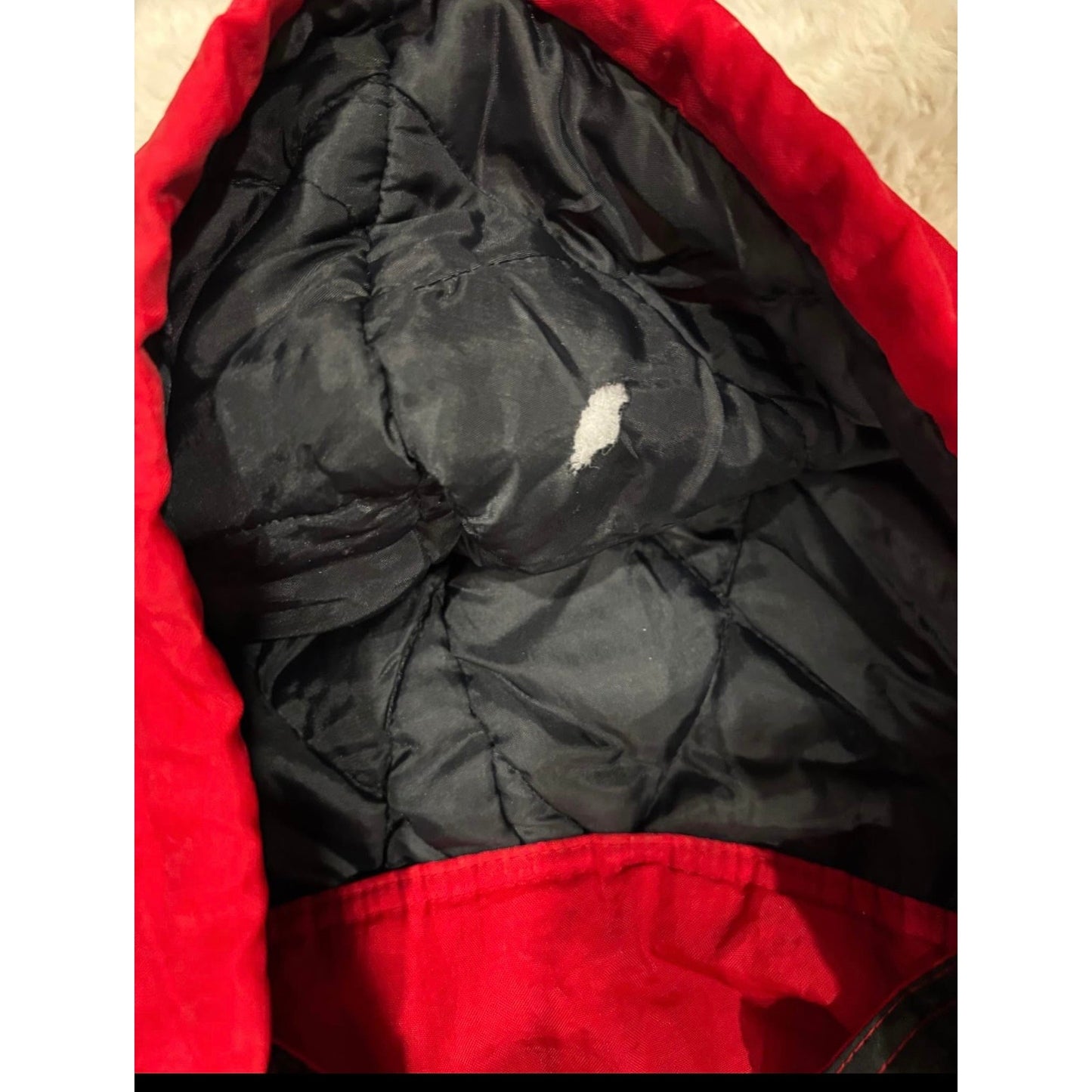 Vintage Detroit Red Wings apex one red starter puffer jacket