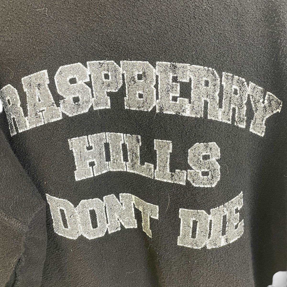GV Gallery "Raspberry Hills Dont Die" Pullover Hoodie S