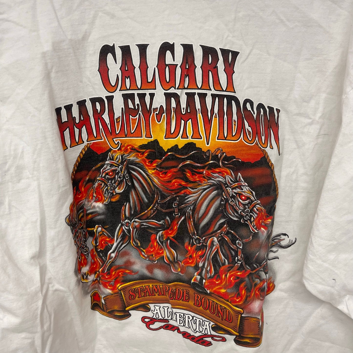 Vintage Harley davidson save a horse long sleeve shirt XL
