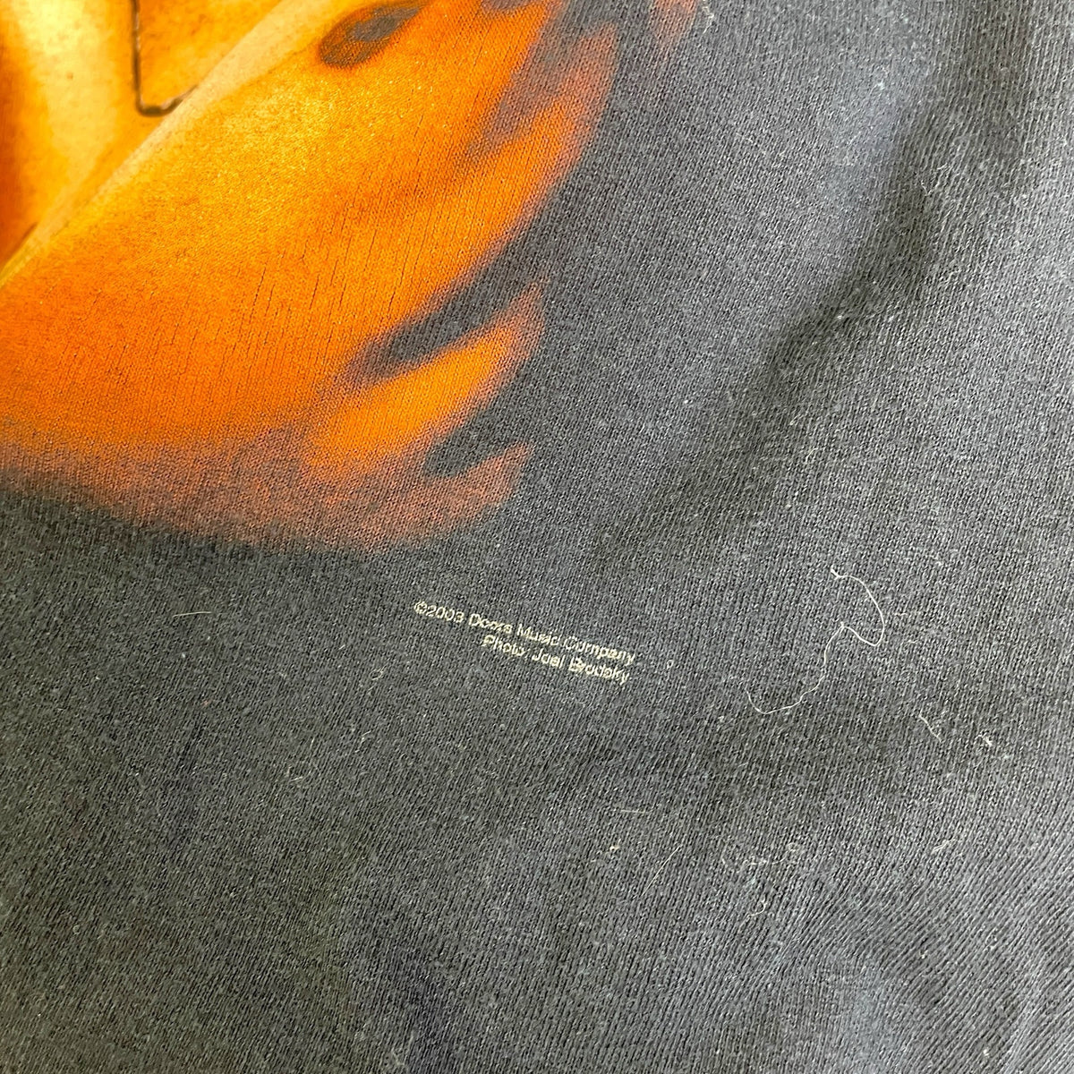 The Doors Winterland Jim Morrison Lizard King T-Shirt 2003 L